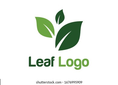 Simple Leaf Logo Design Template