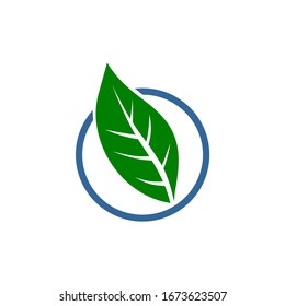 Simple Leaf Logo Design Vector