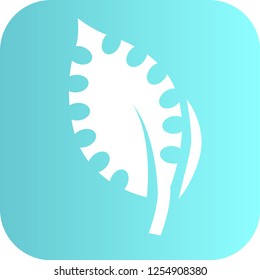 simple leaf logo, icon or ornament, vector