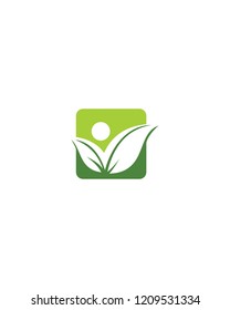 Simple leaf Logo Template