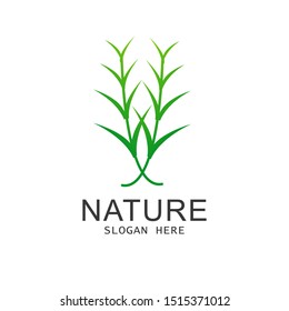 simple leaf logo template illustration