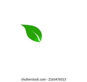 THE SIMPLE LEAF LOGO VEKTOR