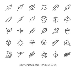 Simple leaf outline icon and related nature environment thing, ecology system foliage concept, 48x48 pixel perfect icon, editable stroke for website, media, mobile application develop using