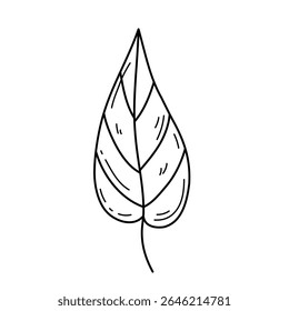 Ilustración de contorno de hoja simple. Hoja dibujada a mano en estilo doodle. Elemento de diseño de trazo editable sobre fondo blanco