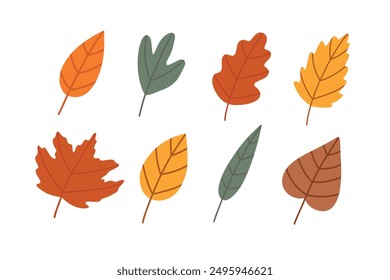 Simple leaf set. Autumn set of hand drawn cute and cozy design elements. Fall, Autumn season.