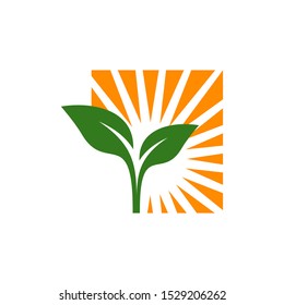 simple leaf and sun logo vector