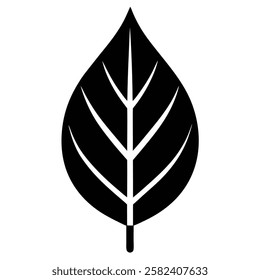 A simple Leaf vector icon design with illustration ,leaf ,vector leaf