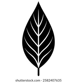 A simple Leaf vector icon design with illustration ,leaf ,vector leaf