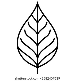 A simple Leaf vector icon design with illustration ,leaf ,vector leaf