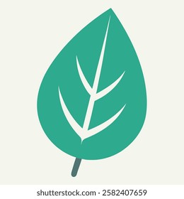 A simple Leaf vector icon design with illustration ,leaf ,vector leaf