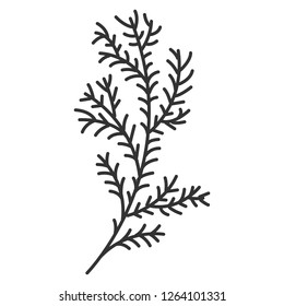 Simple leafless bare branch with needles. Isolated minimalistic vector object of winter or spring coniferous plant. Elegant icon with black thin lines and white background.