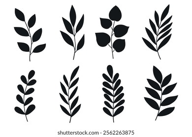 Simple Leafs and Twigs Silhouettes Set. Wild plants leaves black silhouettes isolated on white background