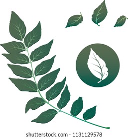 Simple leaves and branch for a natural look.