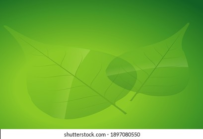 Simple leaves on a blank green nature background, storefront concept, products, nature, perfume, sales promotion, banners, presentations, cosmetics.