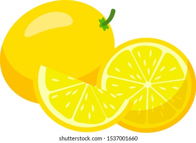 Simple lemon in flat style. Vector isolated illusration