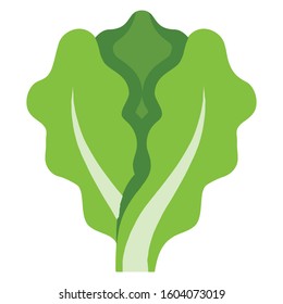 
Simple Lettuce Vegetable Icon - Vector