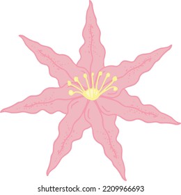 Icono de lirio simple aislado en fondo blanco. Arte vectorial