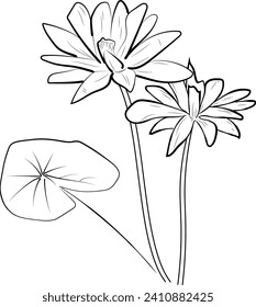 simple lily pad drawing, simple easy water lily drawings, water lily drawing top view, water lilis vector art, illustration water lily vector, outline lotus drawings, small tattoo design