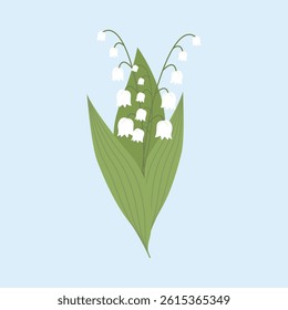 A simple lily of the valley, highlighted on a light blue background. A blooming spring forest plant. Vector illustration