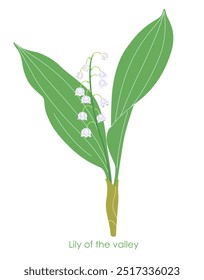Simple Lily of the valley isolated on white background. Blooming spring woodland plant. Small white flowers and green leaves of flowering Convallaria majalis. Botanical vector flat illustration. 