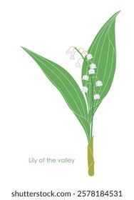 Simple Lily of the valley isolated on white background. Blooming spring woodland plant. Small white flowers and green leaves of flowering Convallaria majalis. Botanical vector flat illustration. 