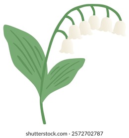 Simple lily of the valley vector illustration