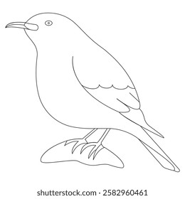 Simple Line Art of a Bird - Minimalist Bird Illustration