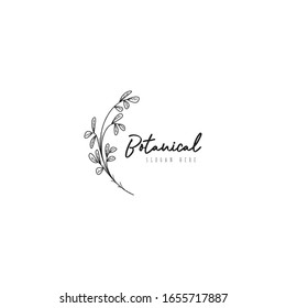 Simple line art botanical flower  logo concept vector