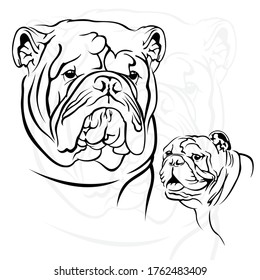 Simple Line Art Bulldog You Can Stock Vector (Royalty Free) 1762483409 ...