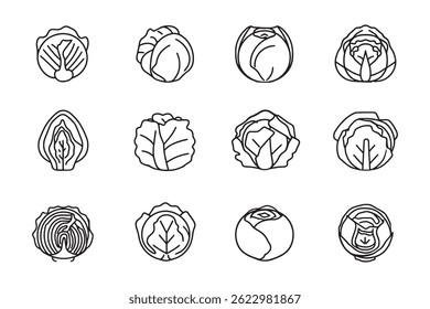 Simple Line Art Cabbage Design