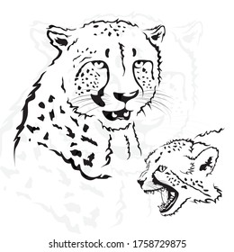 Simple line art cheetah, you can use for icons, design materials, logos, etc.