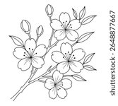 simple line art of cherry blossoms in bloom,buds and leaves.decorative illustration of beautiful flowers