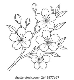 simple line art of cherry blossoms in bloom,buds and leaves.decorative illustration of beautiful flowers