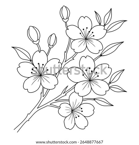 simple line art of cherry blossoms in bloom,buds and leaves.decorative illustration of beautiful flowers
