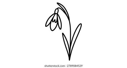 Simple line art drawing of a snowdrop flower icon