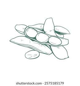 Simple Line Art of Edamame Beans and Pods.