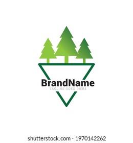 Simple line art evergreen pine tree logo design vector image.