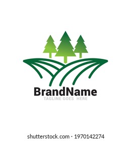 Simple line art evergreen pine tree logo design vector image.
