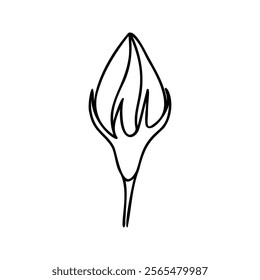 Simple line art of a flower bud, perfect for nature-inspired designs, botanical illustrations, coloring pages, or minimalist projects. Clean and elegant representation of natural beauty