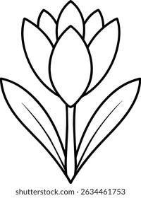 Simple Line Art Flower Graphic Tulip Bloom