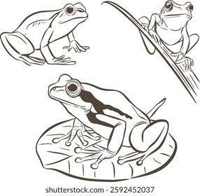 Simple Line Art Frog in Natural Pose