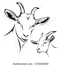 Simple line art goat, you can use for icons, design materials, logos, etc.