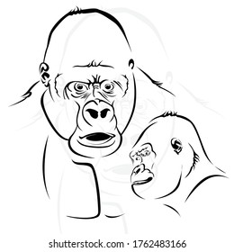 Simple line art gorilla, you can use for icons, design materials, logos, etc.
