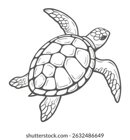 Simple Line Art Green Sea Turtle Illustration
