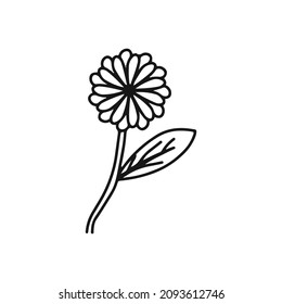 Simple Line art hand drawing floral isolated on white backrground