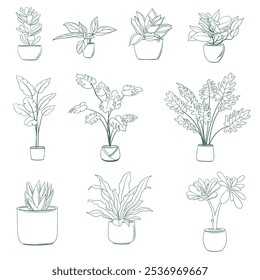 Simple Line Art of Houseplants in Pots. Hand-Drawn Potted Plant Line Illustrations for Decor