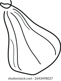 simple line art icon with a round ripe pumpkin of an oblong shape drawn with several lines, for logos or patterns