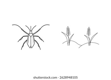 Ilustração de arte de linha simples de um besouro e plantas de trigo em um design minimalista preto e branco