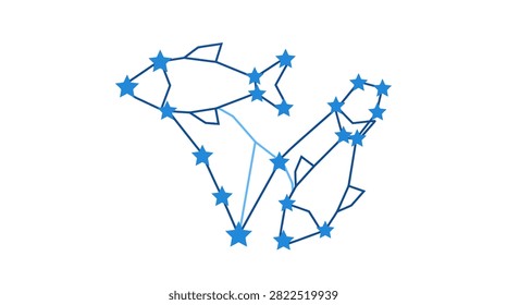Simple line art illustration of two fish depicted as star constellations on white.