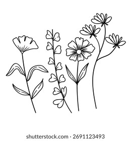 Conjunto de Elementos botánicos dibujados a mano, incluyendo varias plantas silvestres, hojas y subgrupos. Ideal para decoración minimalista, invitaciones de boda o proyectos de diseño natural.